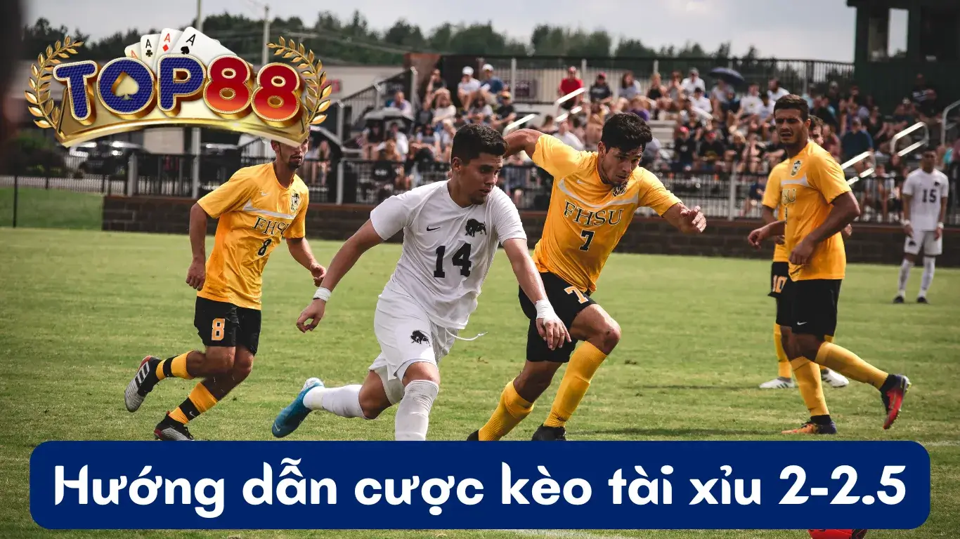 Kèo Tài Xỉu 2-2.5 Là Gì? Cách Đặt Cược Kèo Chính Xác Kèo Tài Xỉu 2-2.5 Là Gì? Cách Đặt Cược Kèo Chính Xác