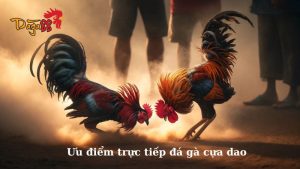 Đá Gà 88 – Nhà Cái Đá Gà Campuchia Trực Tuyến Uy Tín