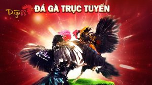 Đá Gà 88 – Nhà Cái Đá Gà Campuchia Trực Tuyến Uy Tín