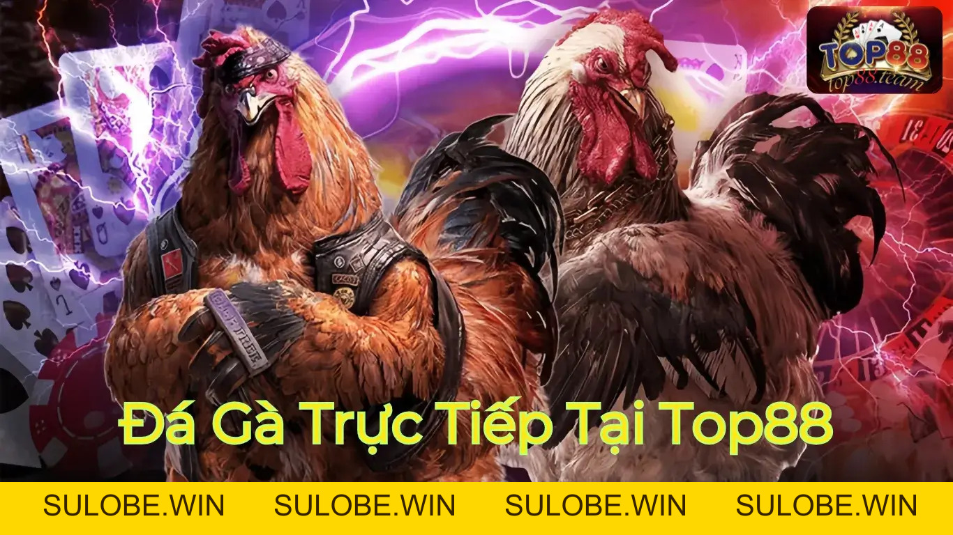 Mẹo chơi game bài đại gia top88 chuyên sâu chuẩn xác