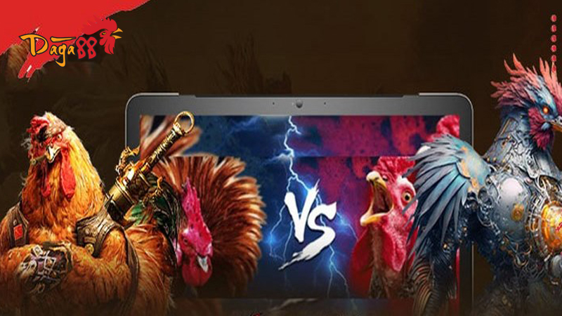 Điều khoản và điều kiện tại Đá Gà 88: Rõ Ràng Minh Bạch nhất
