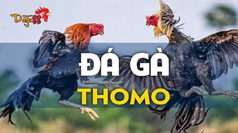 Hướng Dẫn Truy Cập Daga88 Không Bị Chặn An Toàn Nhất