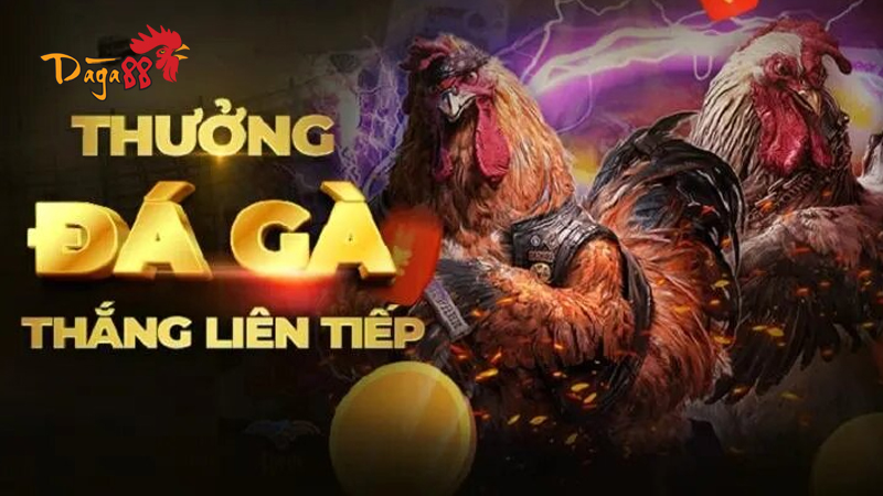 Khuyến Mãi Đá Gà 88 - Nhiều Phần Quà Hấp Dẫn Đang Chờ Bạn Khuyến Mãi Đá Gà 88 - Nhiều Phần Quà Hấp Dẫn Đang Chờ Bạn