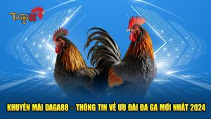 Đá Gà 88 – Nhà Cái Đá Gà Campuchia Trực Tuyến Uy Tín