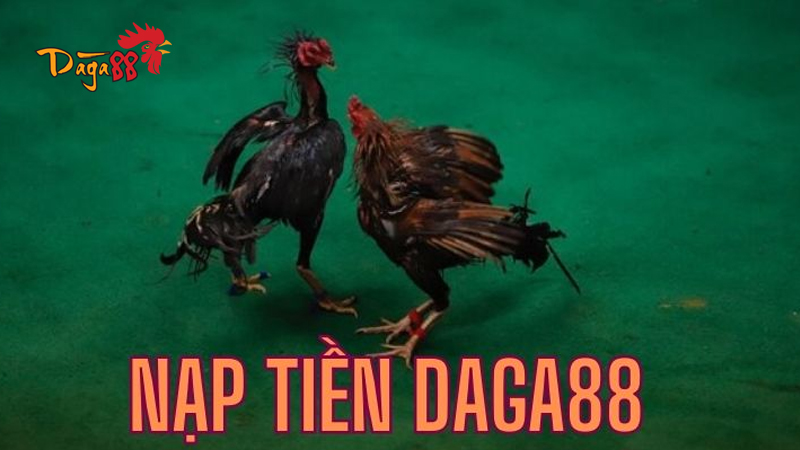 Hướng Dẫn Nạp Tiền Đá Gà 88 Nhanh Chóng, An Toàn, Tiện Lợi Hướng Dẫn Nạp Tiền Đá Gà 88 Nhanh Chóng, An Toàn, Tiện Lợi