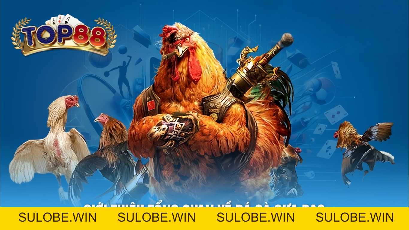 Mẹo chơi game bài đại gia top88 chuyên sâu chuẩn xác
