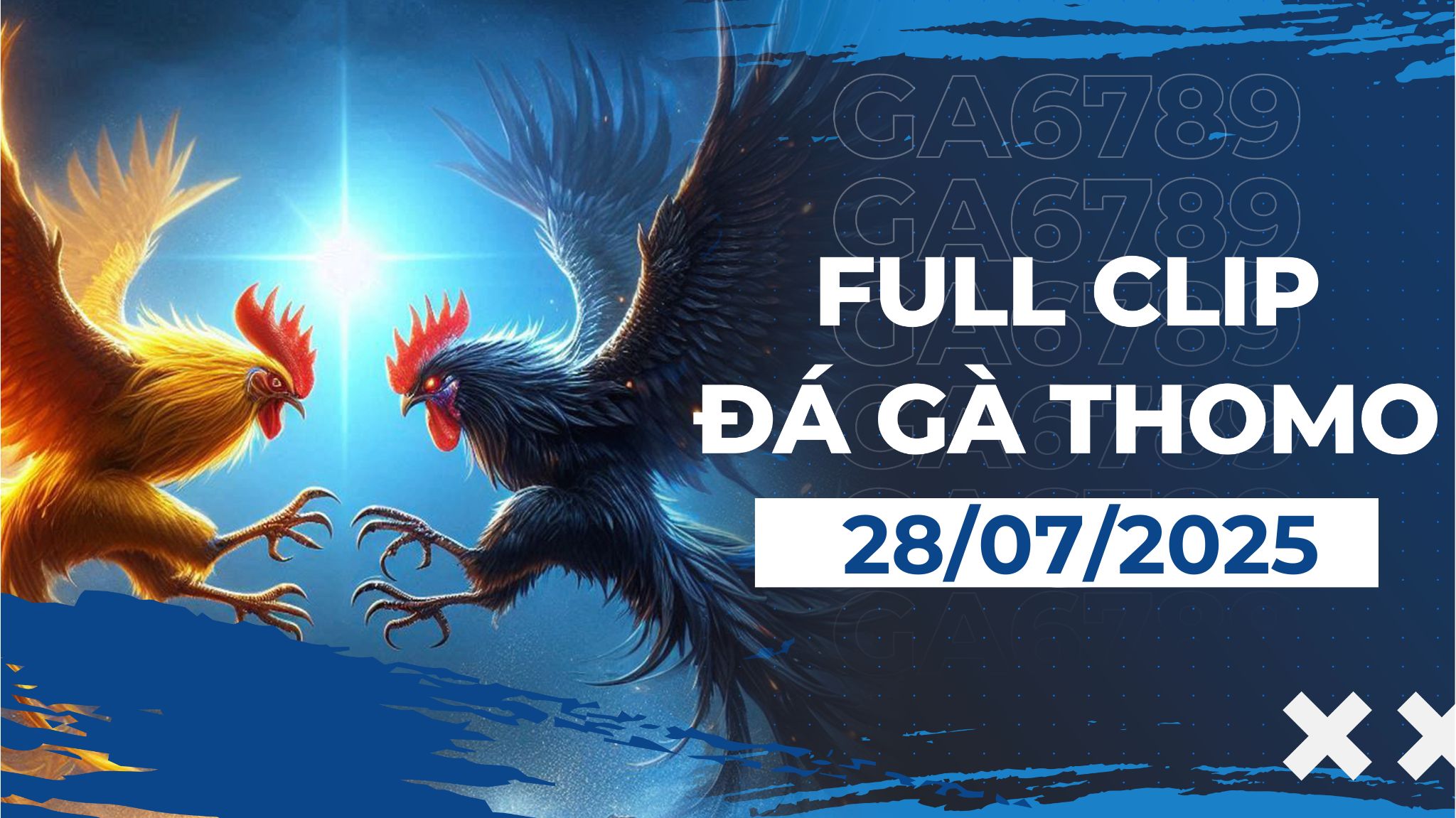 Video Full Clip đá gà bồ Thomo Campuchia 10/2/2026 - Đá Gà 88