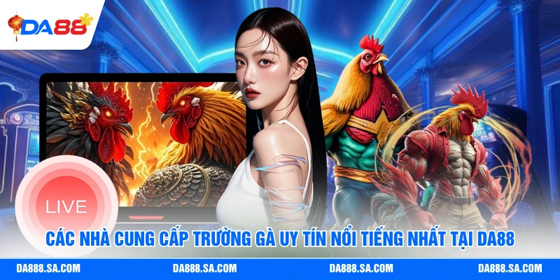 Đá Gà Da88 - Loại Cược Gà Nào Đó Đang Hot Và Dễ Thắng Nhất