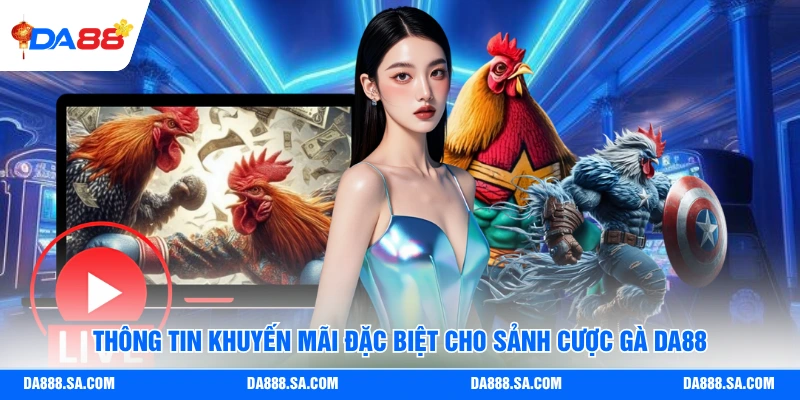 Đá Gà Da88 - Loại Cược Gà Nào Đó Đang Hot Và Dễ Thắng Nhất